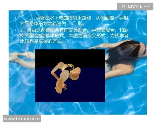 探索四大泳姿技巧与特点全面解析，提升游泳水平的关键指南