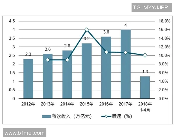 武汉排球队的运营模式与发展策略深度解析